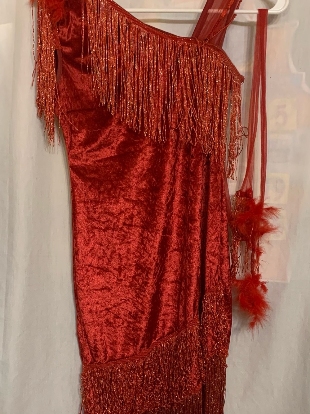 Women Small Halloween 1920s Red Fringe Velvet Accent Dress - Unbranded